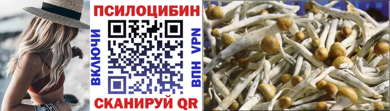 Псилоцибиновые грибы мицелий  Купить  Дно 